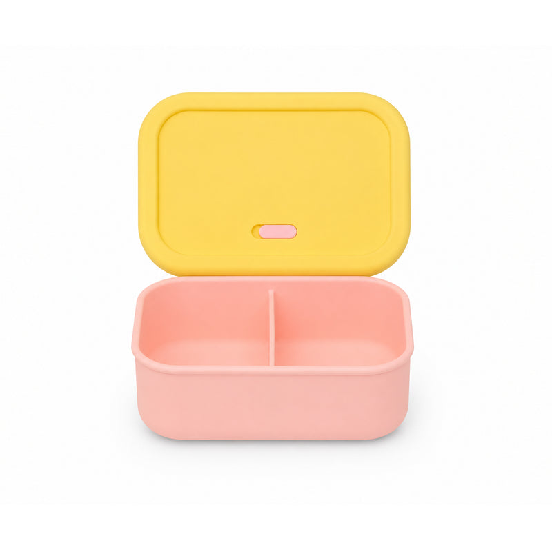 Ice Cream | 700ml Lunchboxes